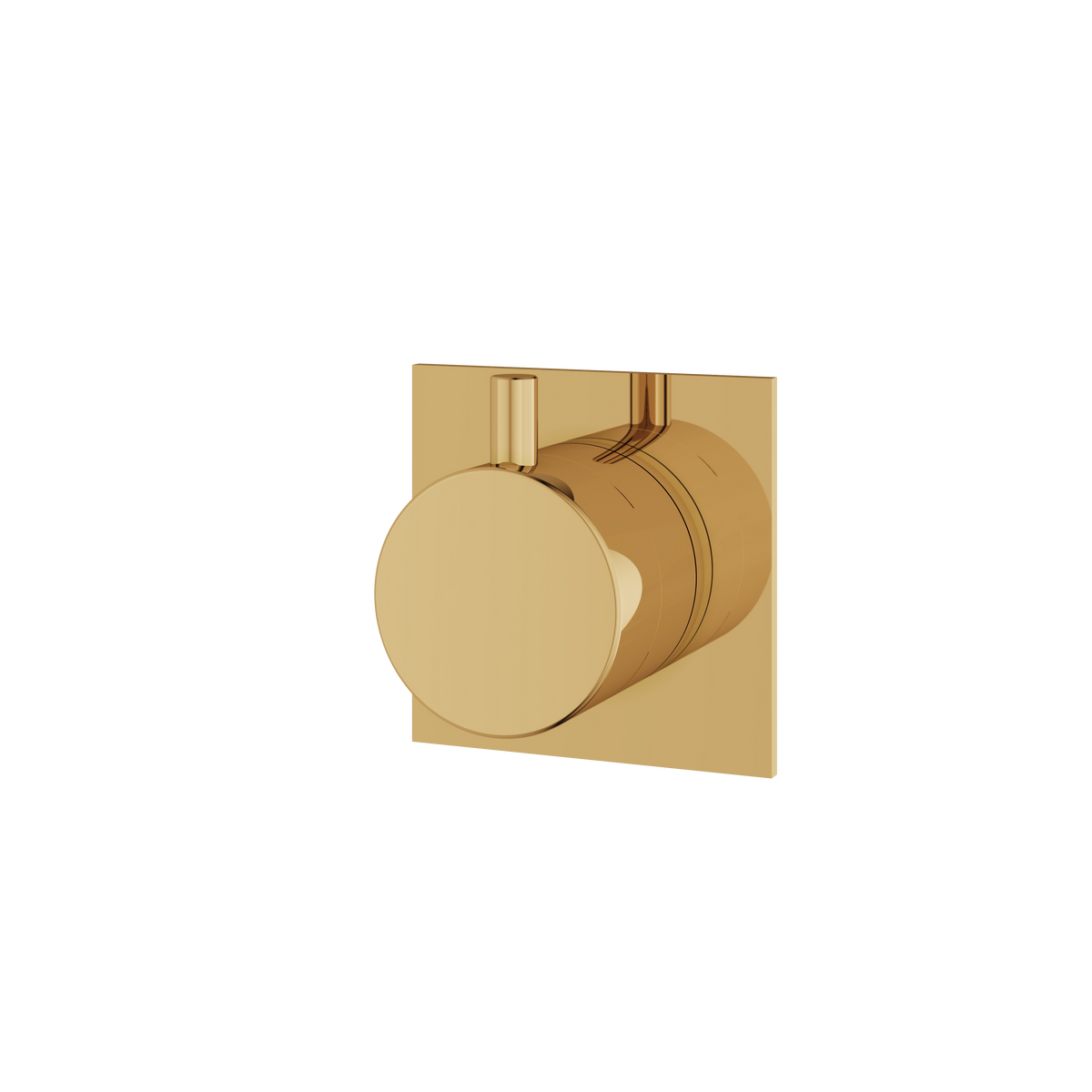 Aquabrass Trim Sets Square / Round Trim Set with Diverter 3-Way Shared 93932 in polished gold