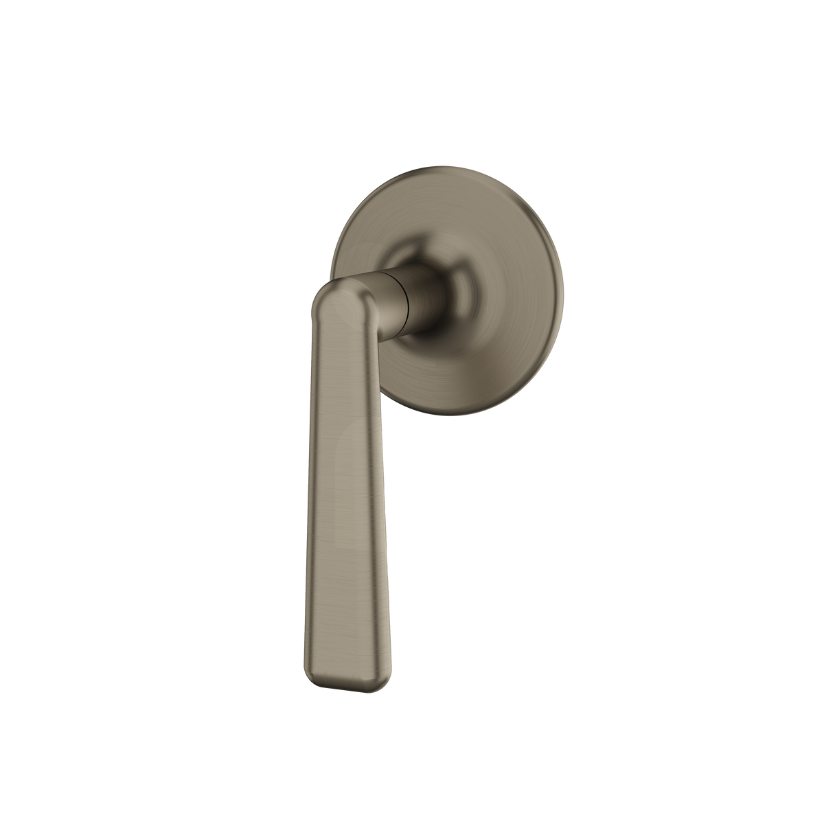Aquabrass Forum Round Trim Set for Diverter Valve 2-Way Non-shared C1242 in brushed black chrome