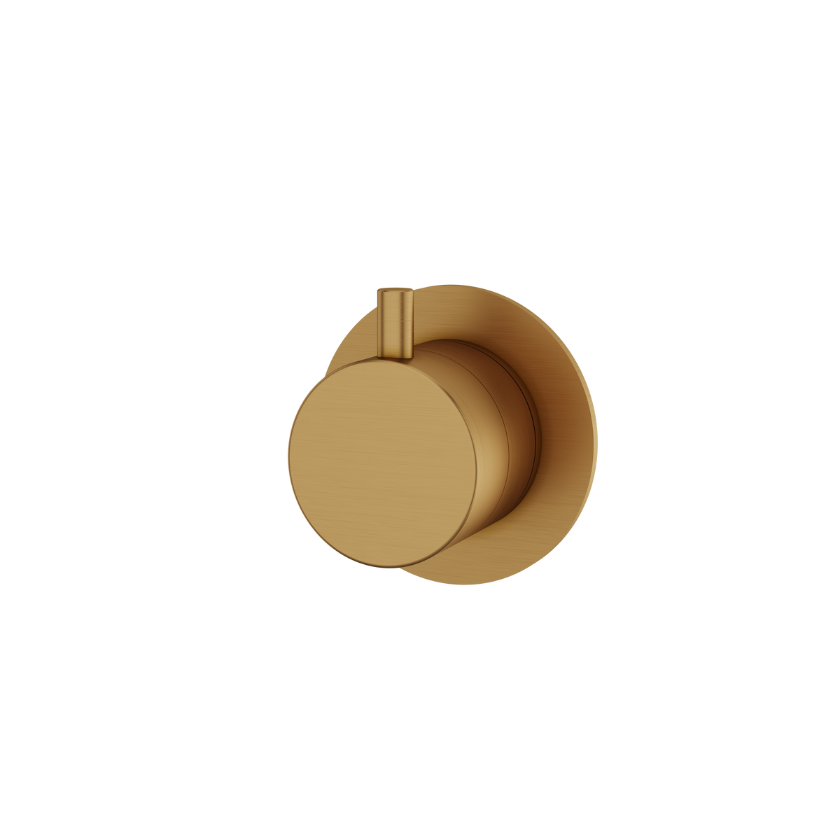 Aquabrass Trim Sets Round Trim Set R0695 in brushed gold