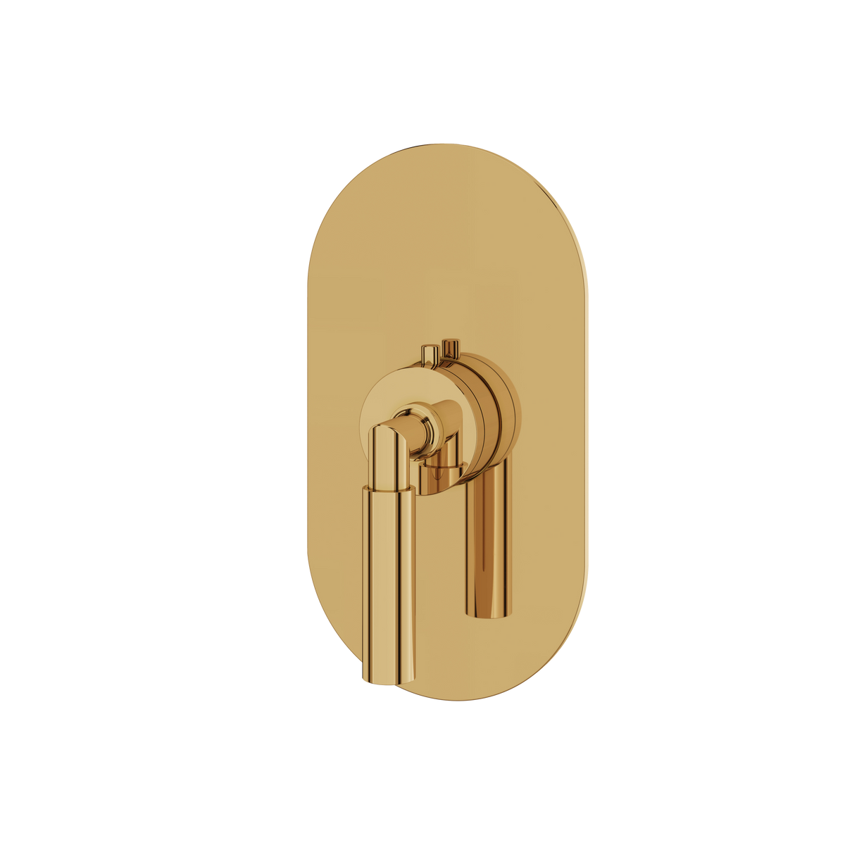 Aquabrass Aria Round Trim Set for Thermostatic Valve R3048 in polished gold