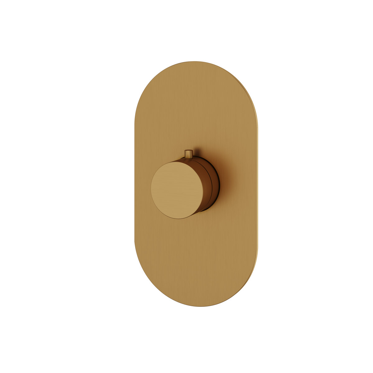Aquabrass Trim Sets Round Trim Set R3095 in brushed gold