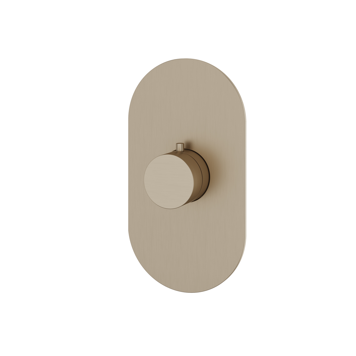 Aquabrass Trim Sets Round Trim Set R3095 in brushed nickel