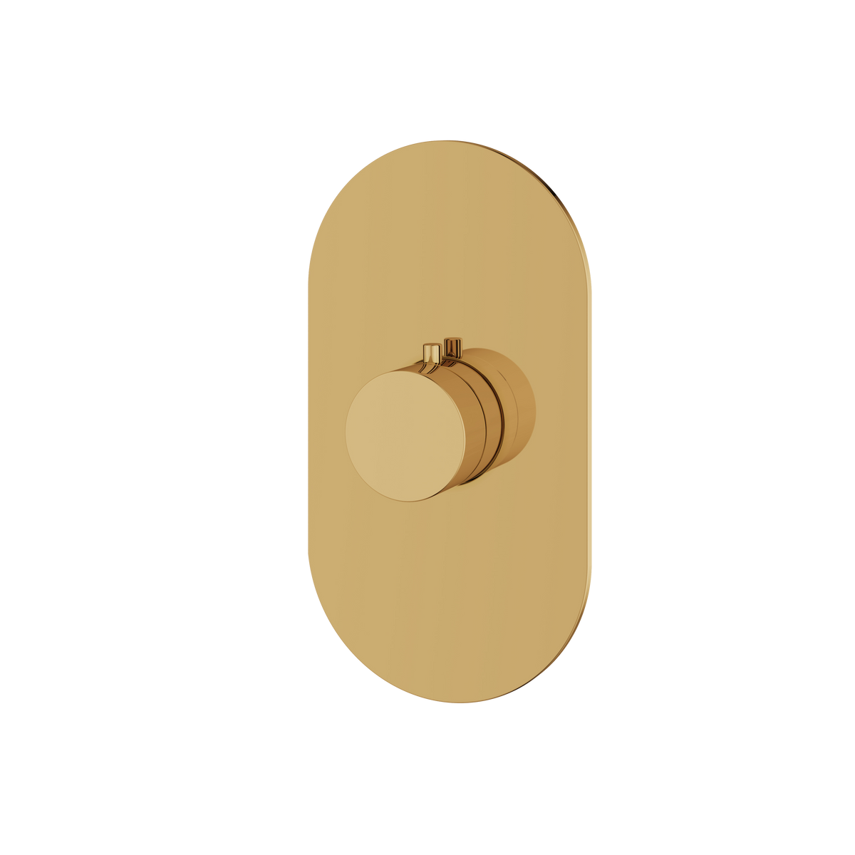Aquabrass Trim Sets Round Trim Set R3095 in polished gold
