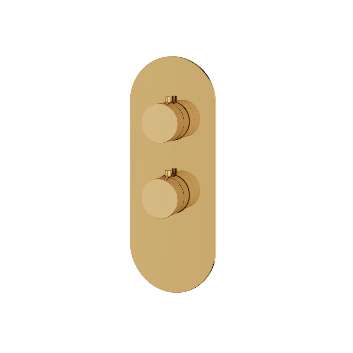 Aquabrass Trim Sets Round Trim Set R3195 in polished gold