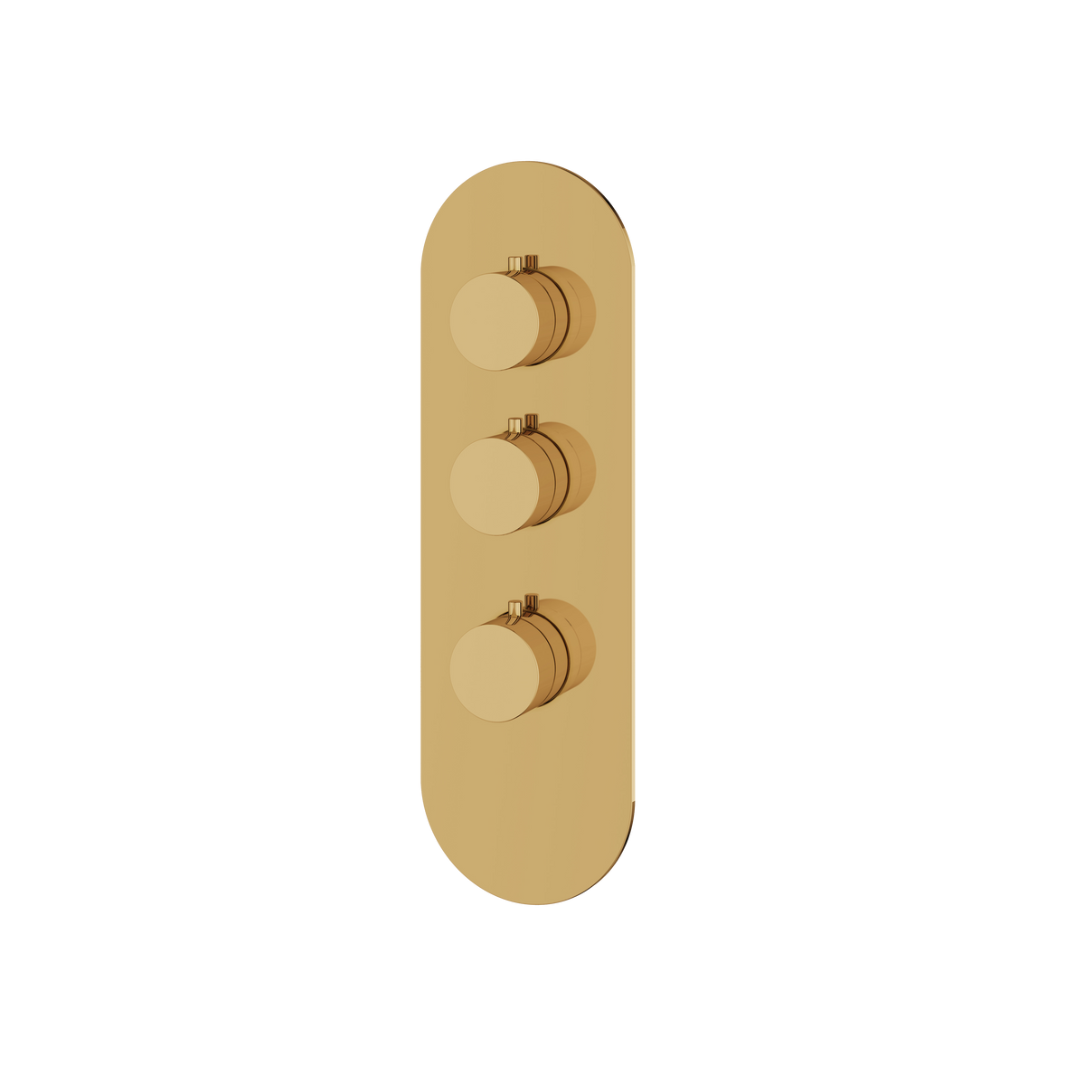 Aquabrass Trim Sets Round Trim Set R3295 in polished gold