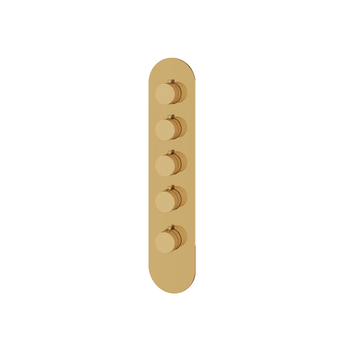 Aquabrass Trim Sets Round Trim Set R3495 in polished gold