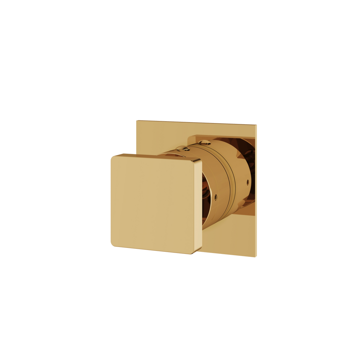 Aquabrass Trim Sets Square Trim Set S0695 in polished gold