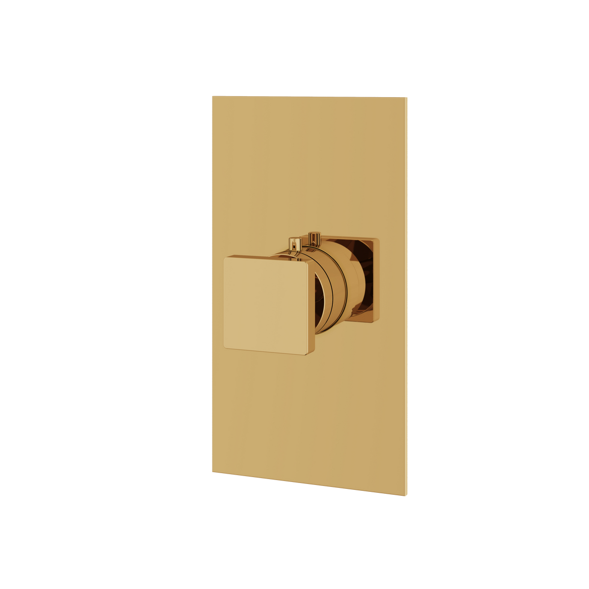 Aquabrass Trim Sets Square Trim Set S3095 in polished gold