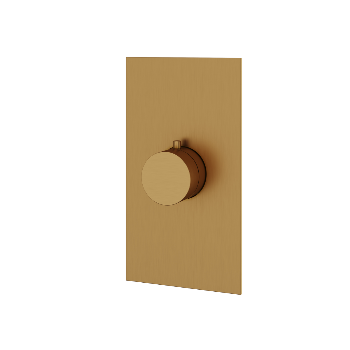 Aquabrass Trim Sets Square / Round Trim Set SR3095 in brushed gold