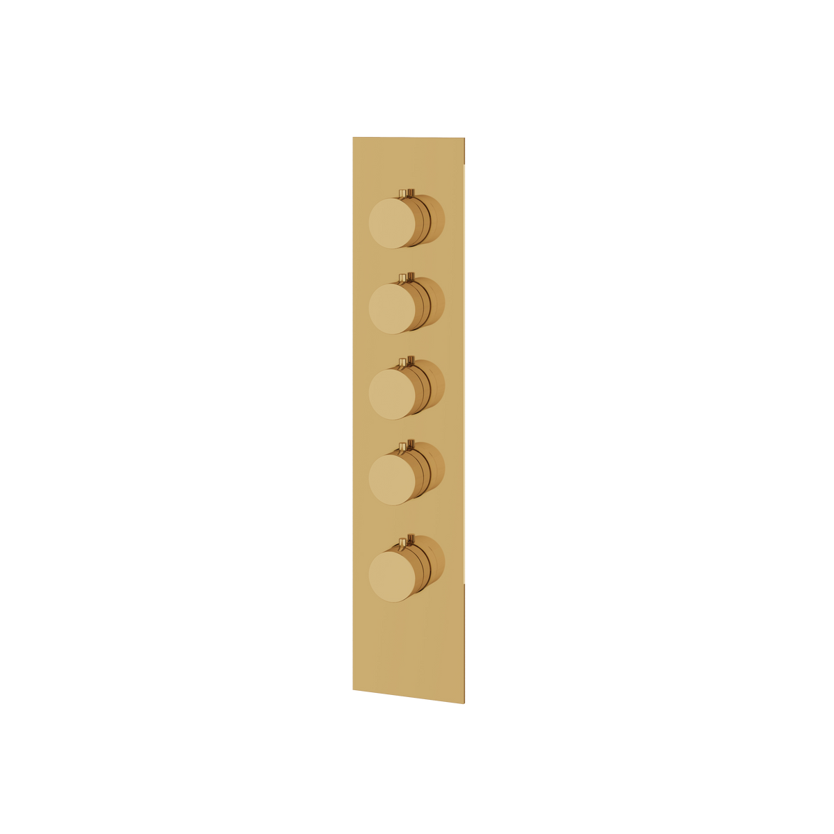 Aquabrass Trim Sets Square / Round Trim Set SR3495 in polished gold