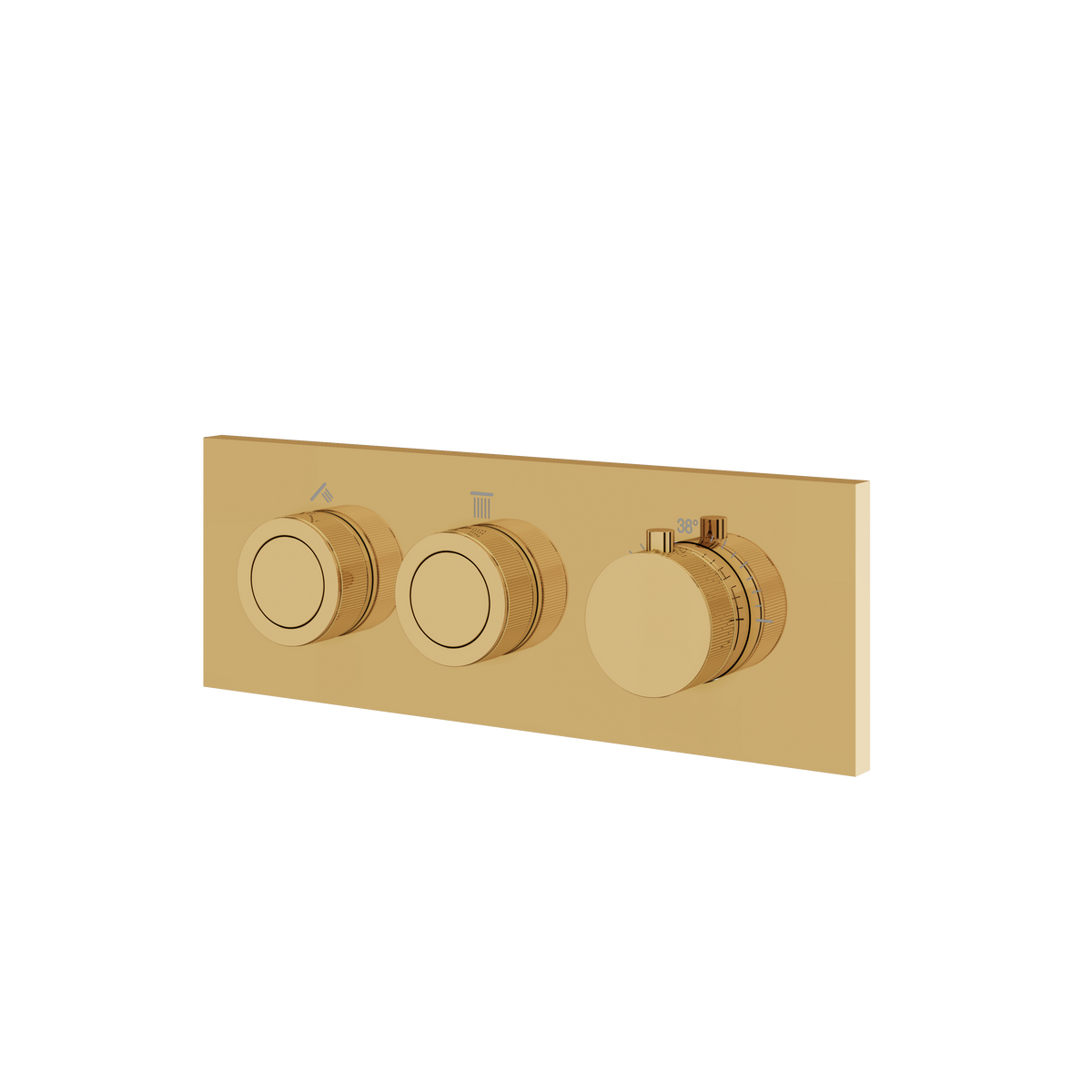 Aquabrass Touch 2-Way Shower Trim TO2W in polished gold