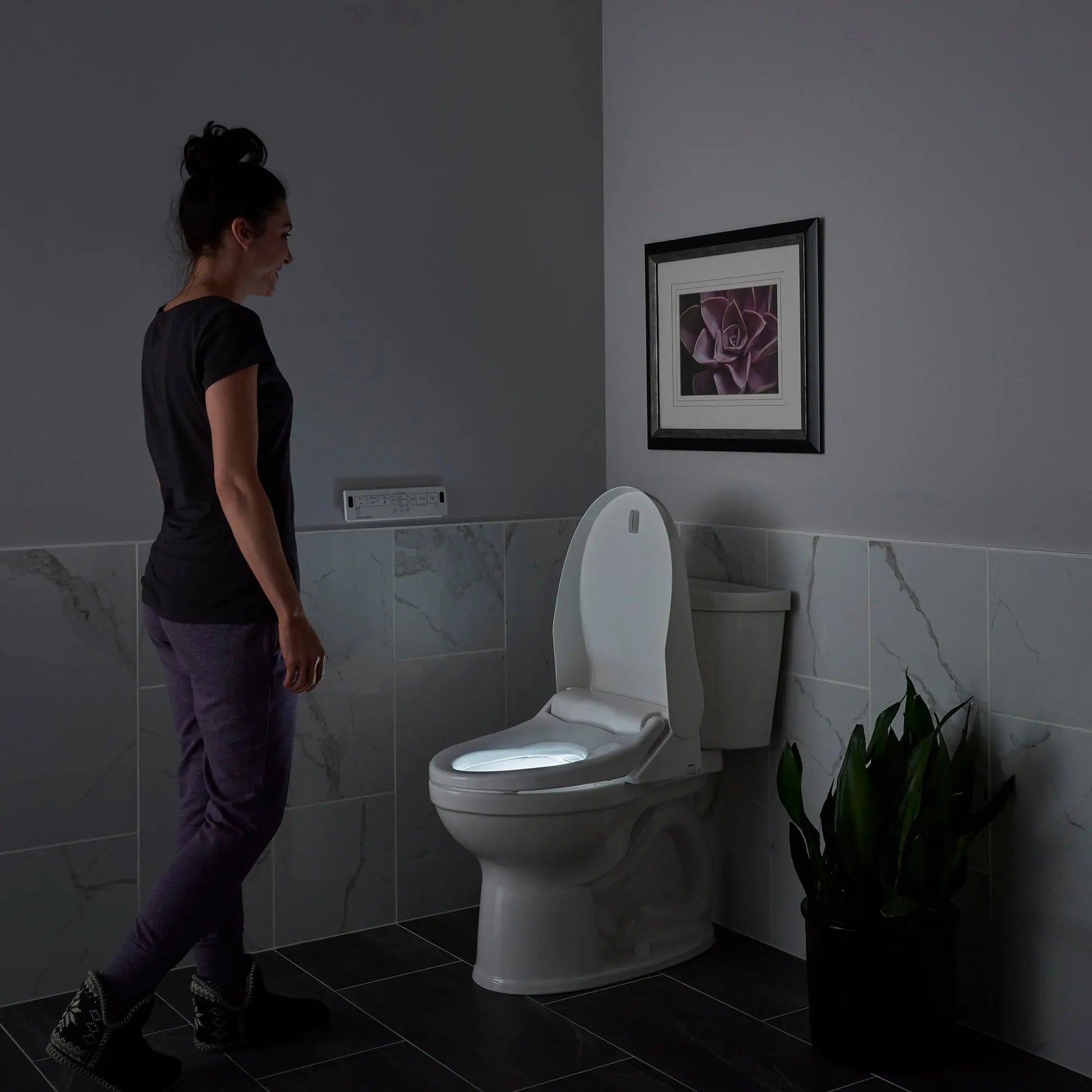 American Standard Advanced Clean 2.5 Electric SpaLet Bidet Seat With Remote Operation 8012A60GRC-020 - Plumbing Market