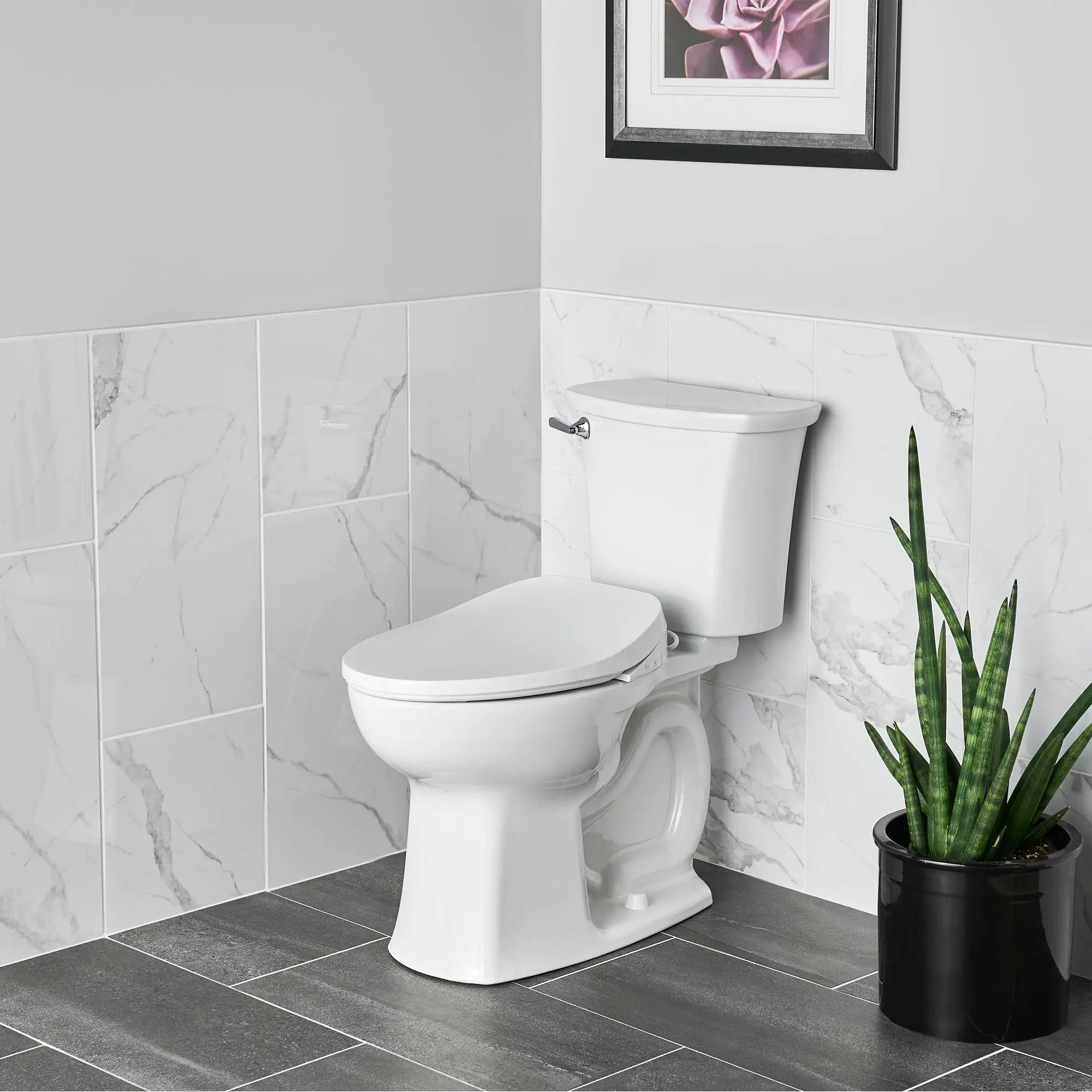 American Standard AquaWash 2.0 Electric SpaLet Bidet Seat With Manual Operation 8019A60GPC.020 - Plumbing Market
