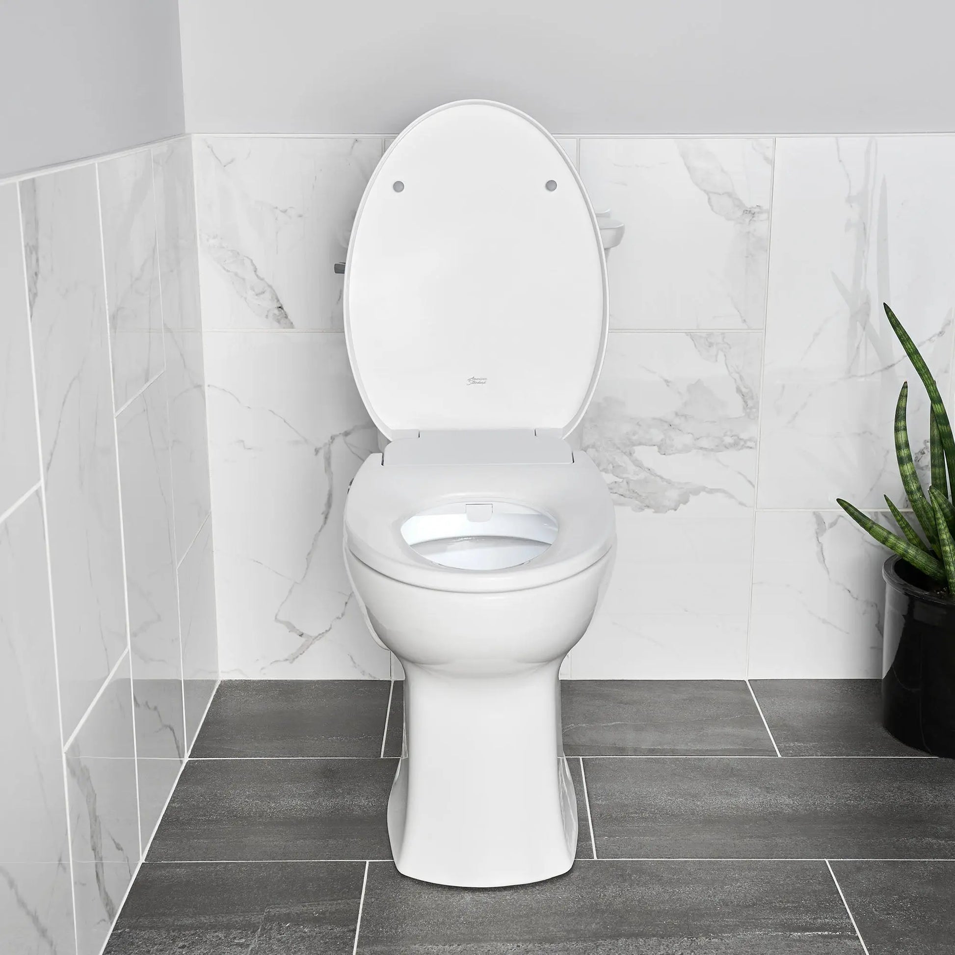 American Standard AquaWash 2.0 Electric SpaLet Bidet Seat With Manual Operation 8019A60GPC.020 - Plumbing Market