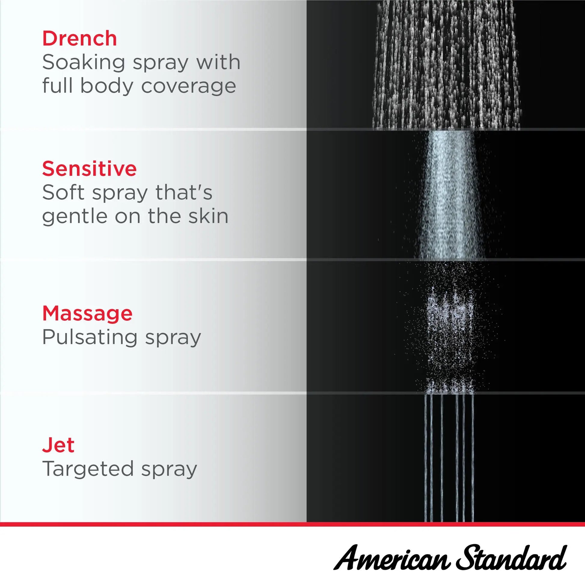 American Standard Spectra Duo 2-in-1 Hand Shower 1.8 gpm/6.8 L/min 9038254.278 - Plumbing Market
