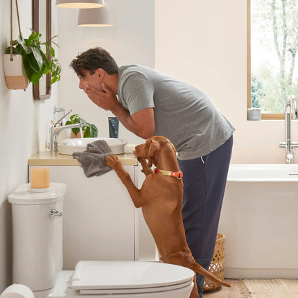 American Standard Studio S Right Height Elongated Toilet Bowl w Seat - Plumbing Market