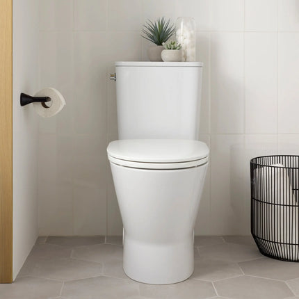 American Standard Tissue Holder 7061230.243 - Plumbing Market