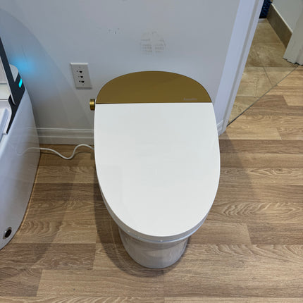 Aquaflo Full Integrated Auto Open and Close Smart Toilet - Plumbing Market