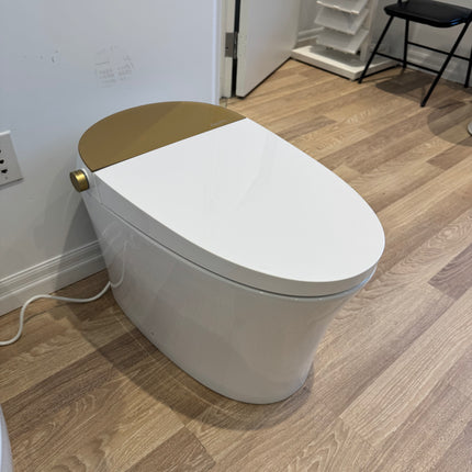 Aquaflo Full Integrated Auto Open and Close Smart Toilet - Plumbing Market