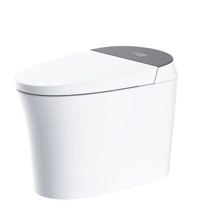 Aquaflo Full Integrated Auto Open and Close Smart Toilet - Plumbing Market