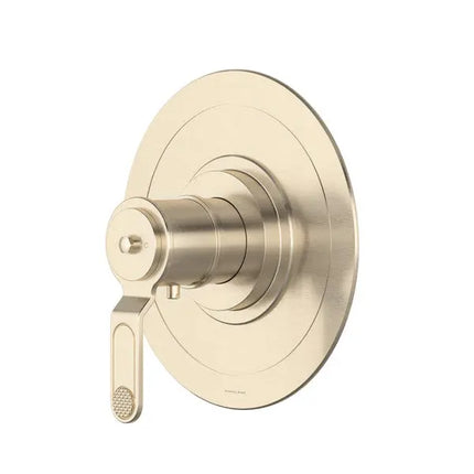 Armstrong™ 3/4" Thermostatic Trim Without Volume Control - Plumbing Market