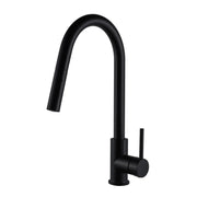 Bristol Sinks Rivera Kitchen Pull-down Faucet - Matte Black