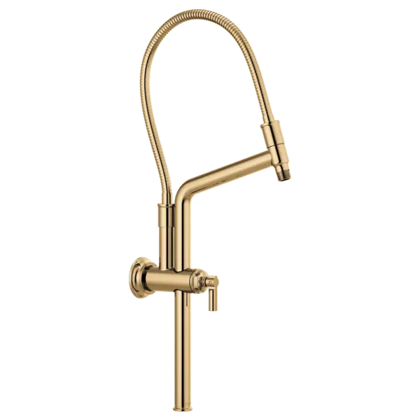 Brizo 10 7/16" Classic Slide Bar Shower Arm And Flange 81376-PG - Plumbing Market