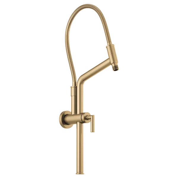 Brizo 10 7/16" Linear Round Slide Bar Shower Arm And Flange 81892-GL - Plumbing Market