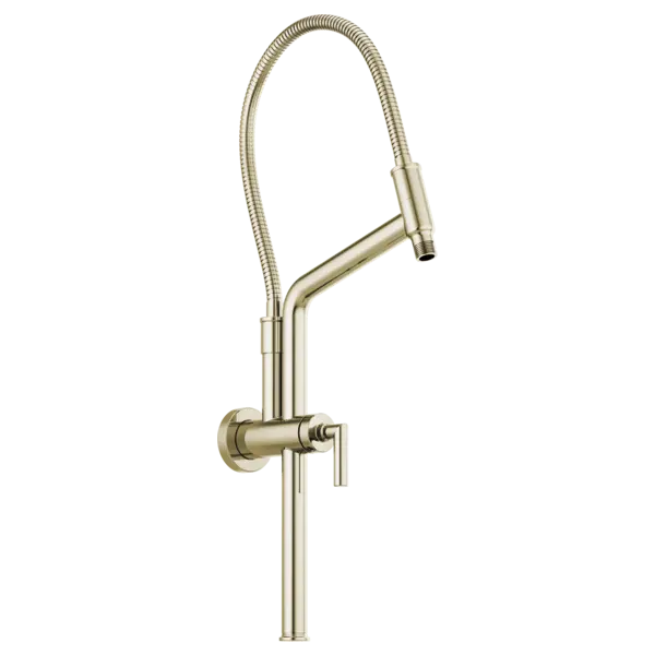 Brizo 10 7/16" Linear Round Slide Bar Shower Arm And Flange 81892-PN - Plumbing Market