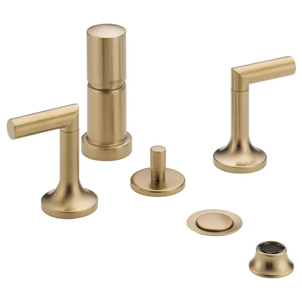 Brizo Bidet 68475-GL - Plumbing Market