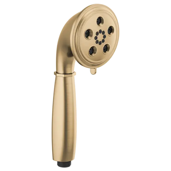 Brizo Classic Round H2Okinetic® Multi-Function Handshower RP81079GL - Plumbing Market