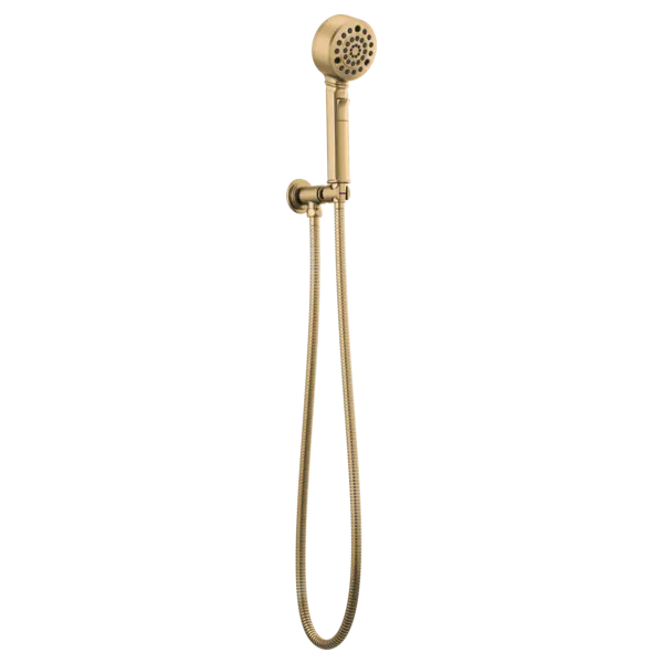 Brizo H<sub>2</sub>Okinetic® Multi-Function Wall Mount Handshower 88876-GL - Plumbing Market