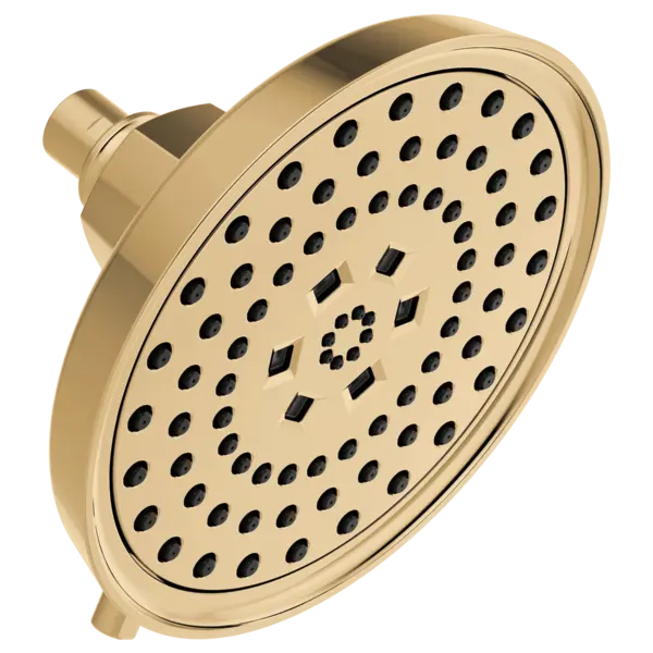 Brizo H<sub>2</sub>Okinetic® Round Multi-Function Showerhead 87476-PG - Plumbing Market