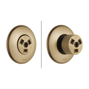 Brizo Hydrachoice Max® Round Body Spray Trim T84613-GL - Plumbing Market