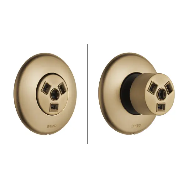 Brizo Hydrachoice Max® Round Body Spray Trim T84613-GL - Plumbing Market