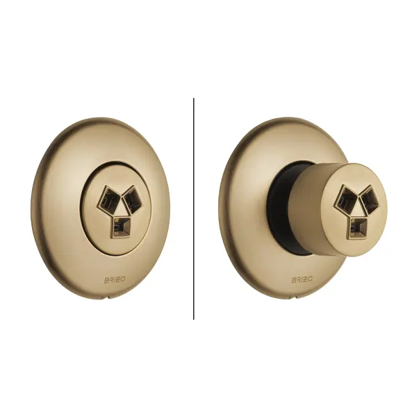 Brizo Hydrachoice Max® Round Body Spray Trim T84613-GL - Plumbing Market