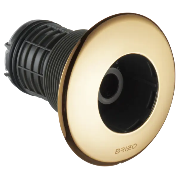 Brizo Hydrachoice Max® Round Body Spray Trim T84613-PG - Plumbing Market