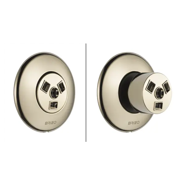Brizo Hydrachoice Max® Round Body Spray Trim T84613-PN - Plumbing Market
