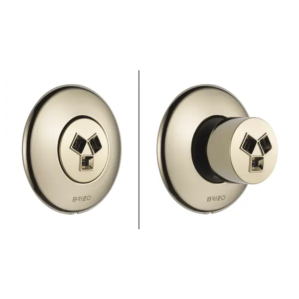 Brizo Hydrachoice Max® Round Body Spray Trim T84613-PN - Plumbing Market