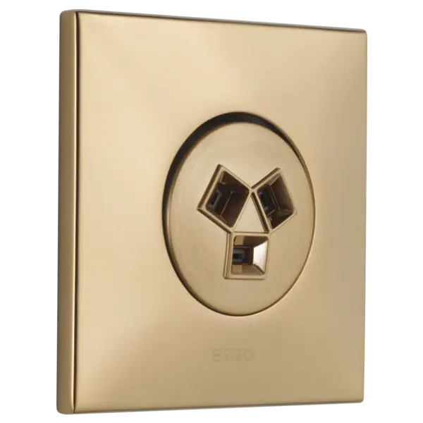 Brizo Hydrachoice Max® Square Body Spray Trim T84913-GL - Plumbing Market