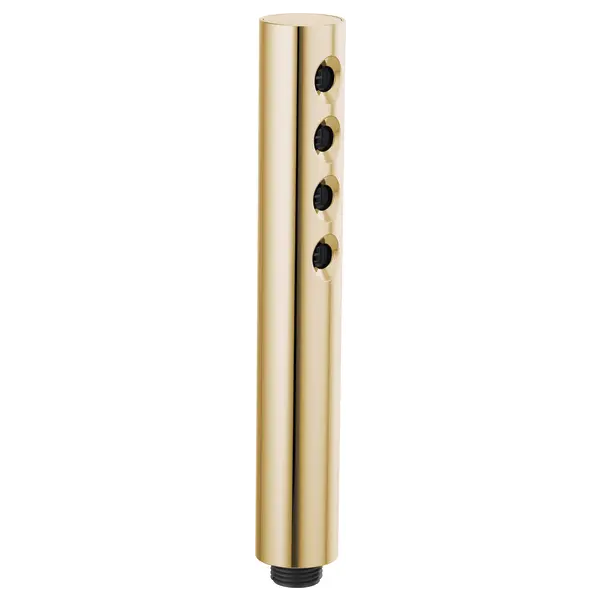 Brizo Linear Round H2Okinetic® Single Function Handshower RP73147PG - Plumbing Market