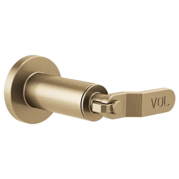 Brizo Sensori® Volume Control Trim - Industrial Lever T66634-GL - Plumbing Market