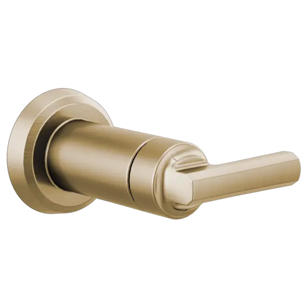 Brizo Sensori® Volume Control Trim Lever T66697-GL - Plumbing Market