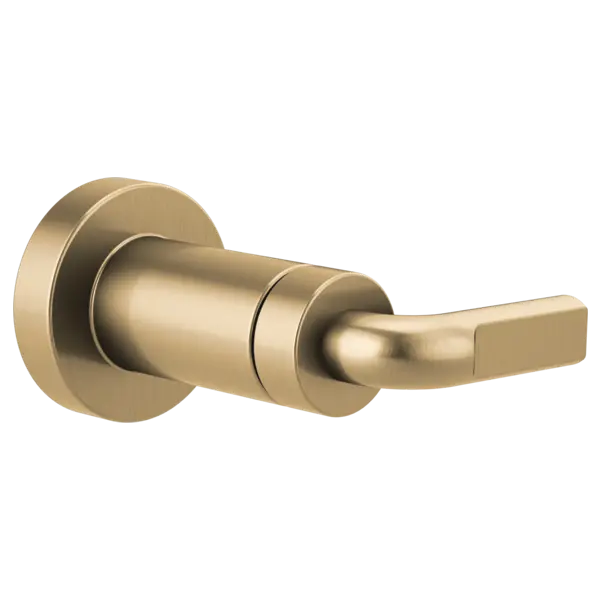 Brizo Sensori® Volume Control Trim -  Notch Lever T66639-GL - Plumbing Market