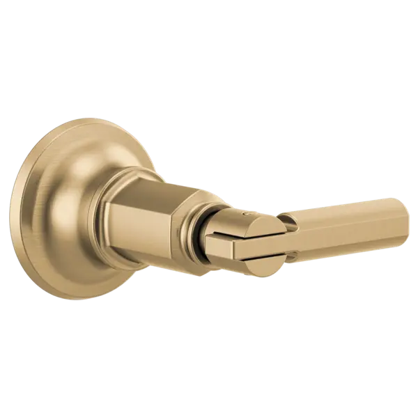 Brizo Sensori® Volume Control Trim With Lever Handle T66676-GL - Plumbing Market