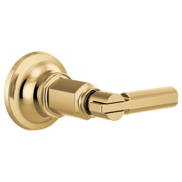 Brizo Sensori® Volume Control Trim With Lever Handle T66676-PG - Plumbing Market