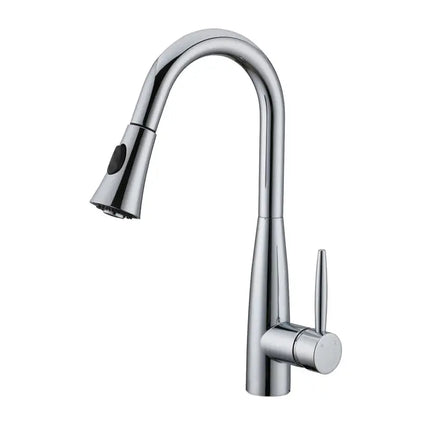 Cleo Davison Pull-Down Dual Spray Kitchen Faucet - Plumbing Market