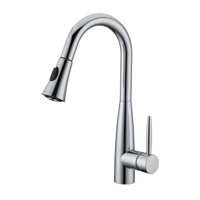 Cleo Davison Pull-Down Dual Spray Kitchen Faucet - Plumbing Market