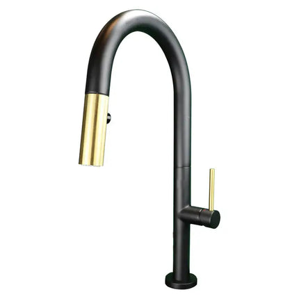 Cleo Elegante Pull-Down Dual Spray Kitchen Faucet Matte Black - Plumbing Market