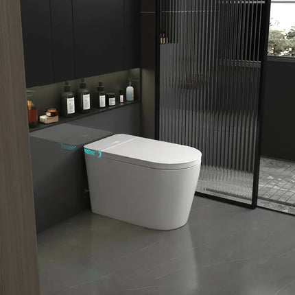 Cleo Milano Smart Bidet Toilet with Auto Open and Close Lid - Plumbing Market